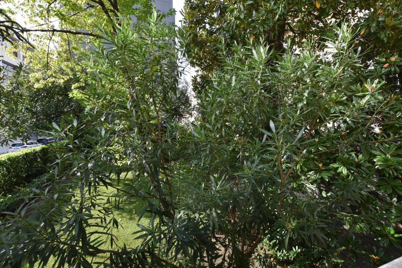 Lake Como Holiday Apartments מראה חיצוני תמונה